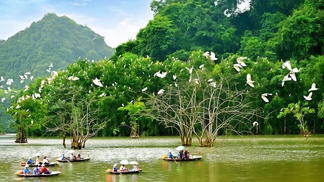 Thung Nham - Ninh Binh