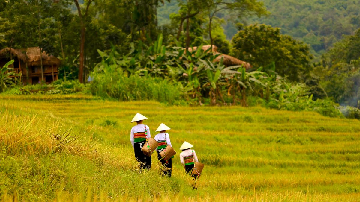 Pu Luong, Vietnam